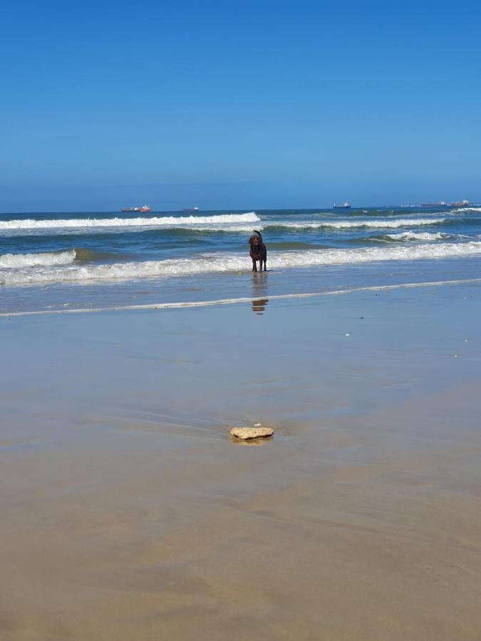 House Haven Guesthouse Port Elizabeth Extérieur photo