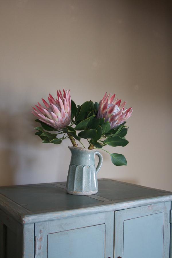 House Haven Guesthouse Port Elizabeth Extérieur photo