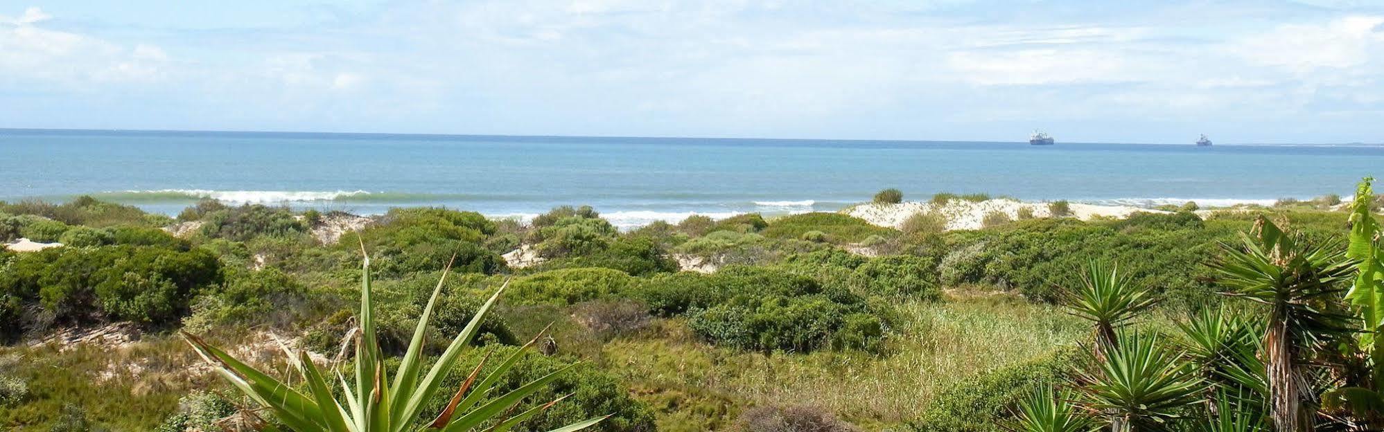 House Haven Guesthouse Port Elizabeth Extérieur photo